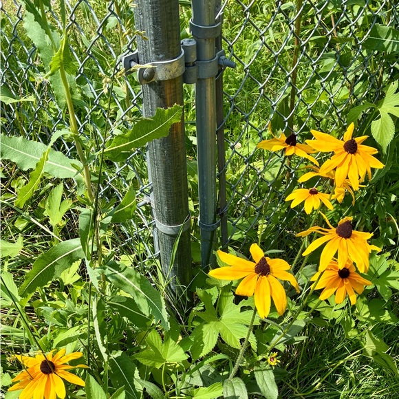 ⁉️MYSTERY BOX⁉️5 Mixed Pieces Cookie Lee Fine Fashion Jewelry worth $125+ Retail - Picture 9 of 15